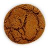 Gingersnap Cookie